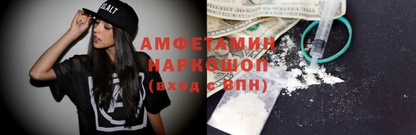 прущие грибы Алзамай