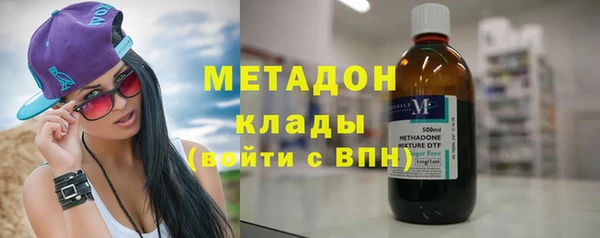 прущие грибы Алзамай