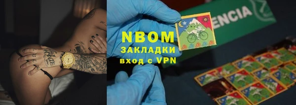 прущие грибы Алзамай