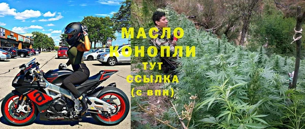 прущие грибы Алзамай